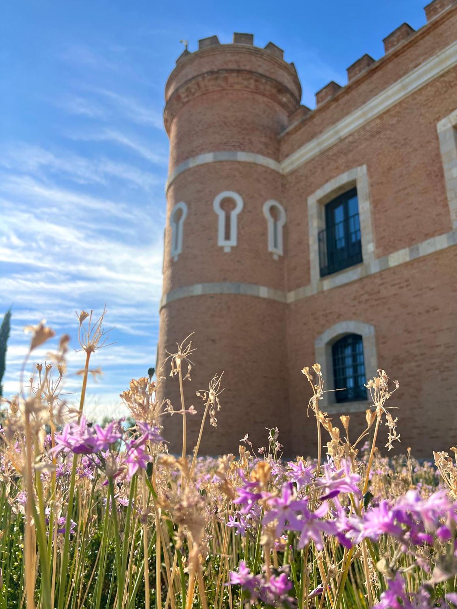 Castillo De Monte La Reina Posada Real & Bodega Toro Ngoại thất bức ảnh